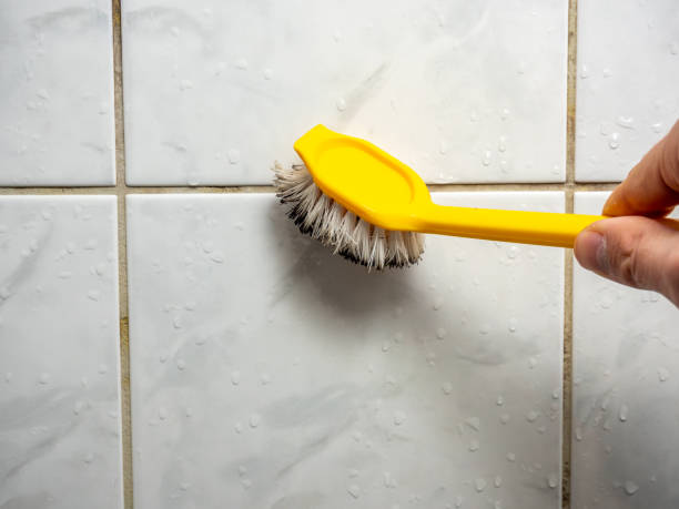 Office Mold Removal Services in East Sparta, OH